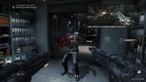 Old Blood Dual Wield